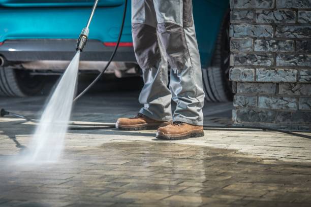 Best Winterizing Services  in Louisiana, MO