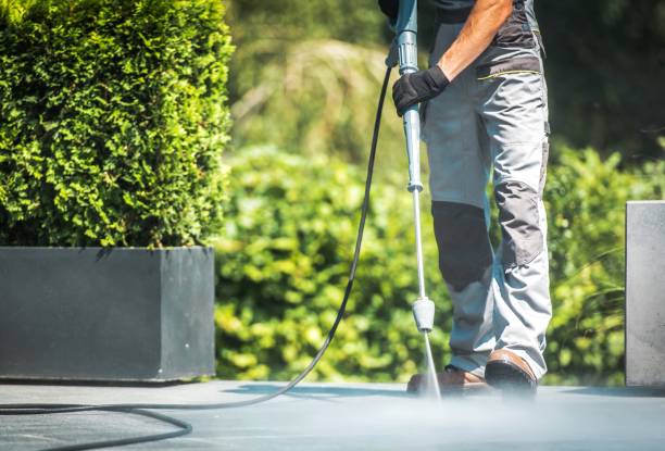 Best Residential House Exterior Washing  in Louisiana, MO