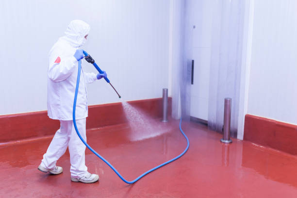 Best Gas Station Cleaning  in Louisiana, MO