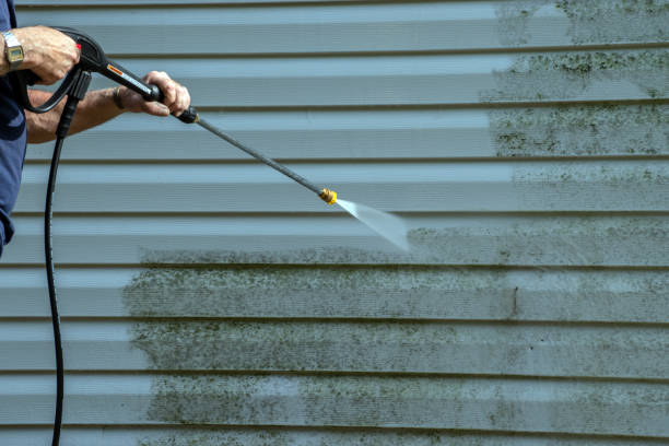 Best Animal Enclosure Cleaning  in Louisiana, MO