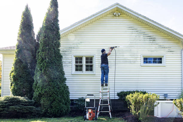 Best Roof Washing  in Louisiana, MO